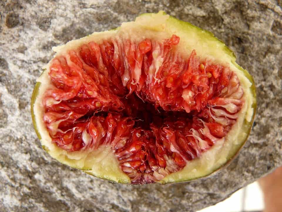 علاج الآثار الجانبية الجسدية لختان المرأة