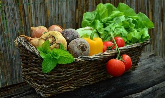 تغذية خاصة لزيادة فرص الحمل