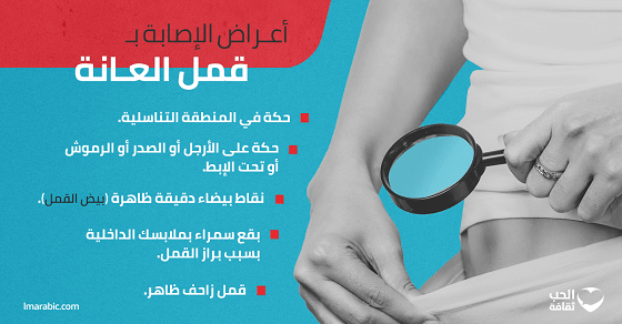 قمل العانة - باختصار