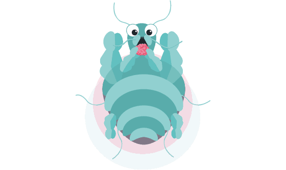 الجرب – Scabies