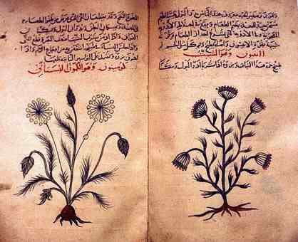 نسخةمن كتاب اراء اطباء المسلمين في الطب
