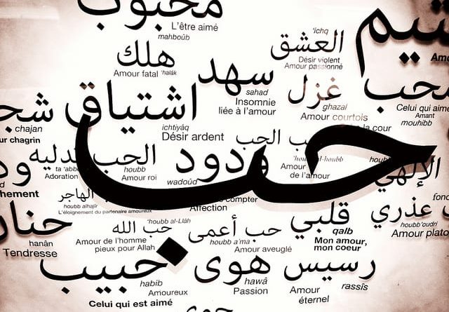 أحمد ناجي: الحب والكلمات الخطرة