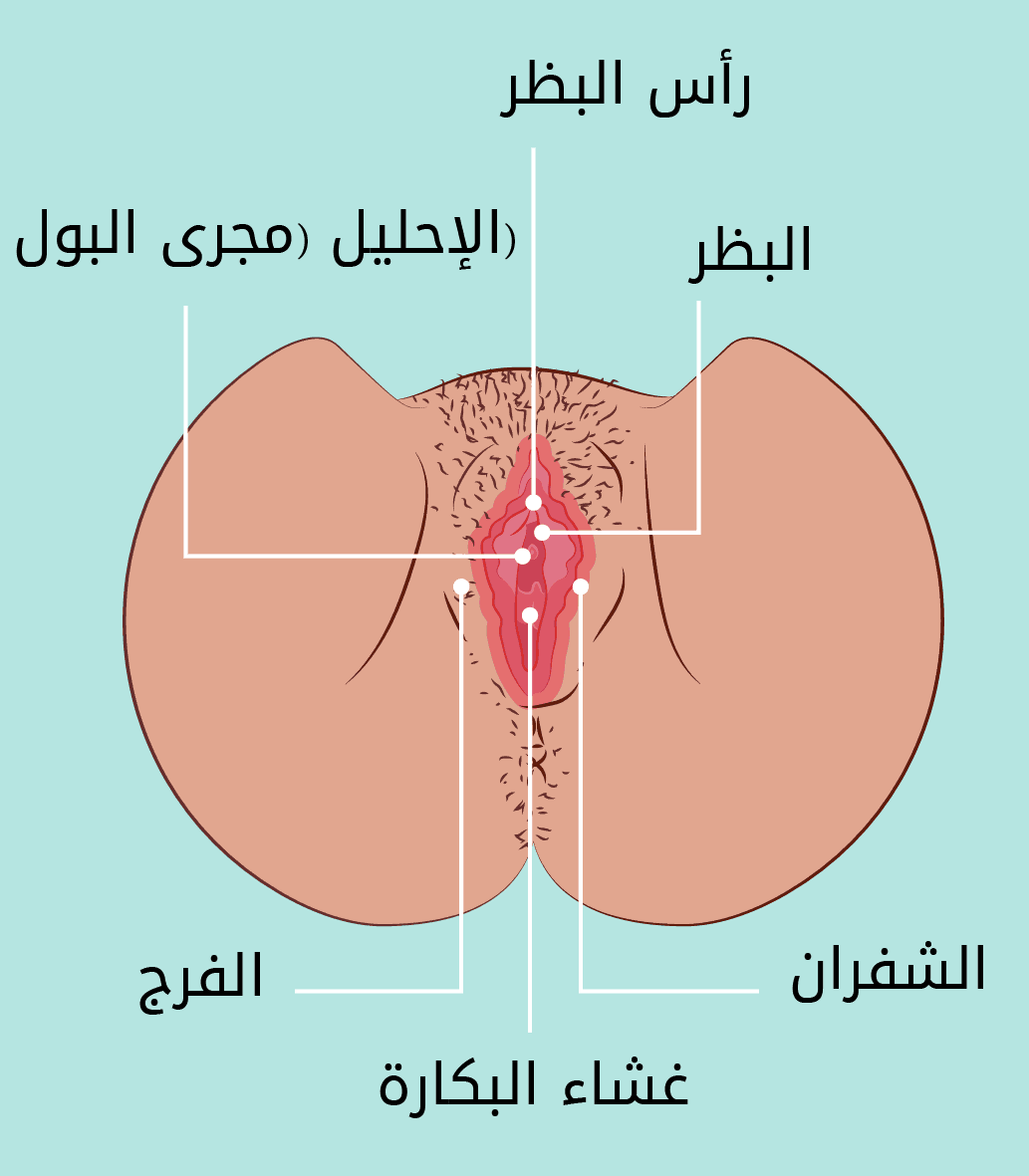 موقع الغشاء