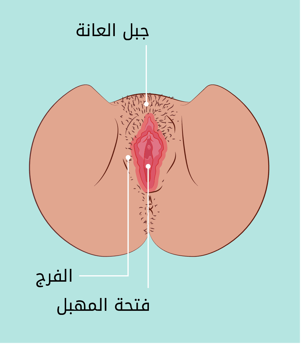 الفرج