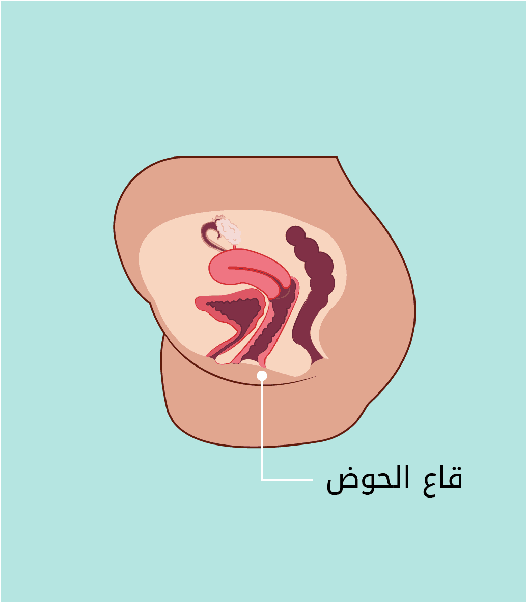 قاع الحوض