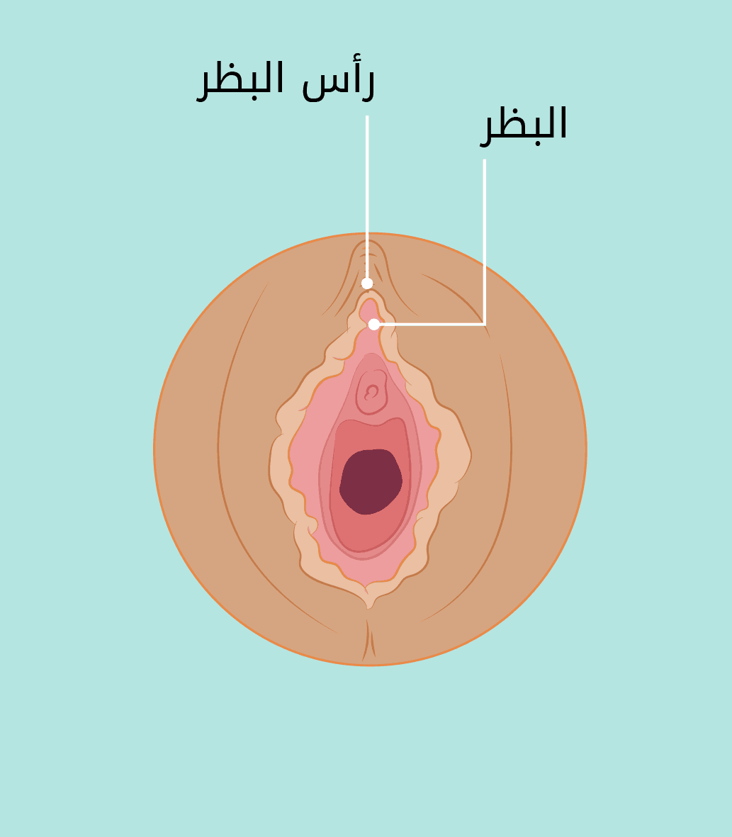 البظر