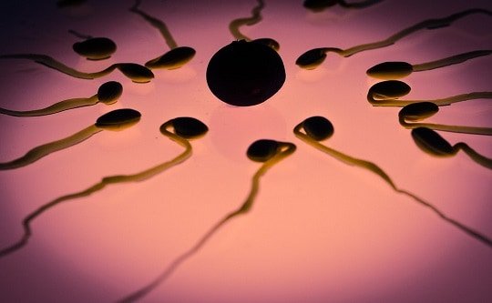 إلى الرجل: كيف تتحكم في مصير حيواناتك المنوية؟