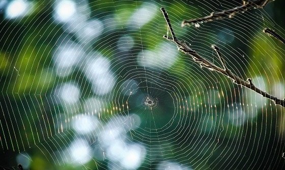 تجنب: فخ الزواج للأسباب الخاطئة