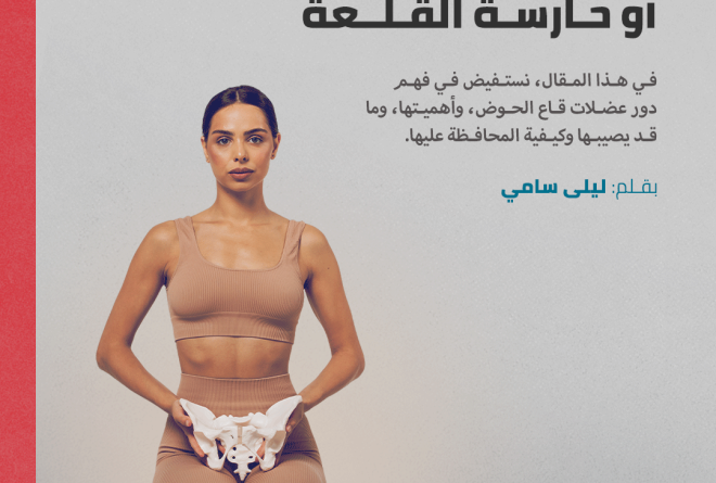 عضلات الحوض أو حارسة القلعة