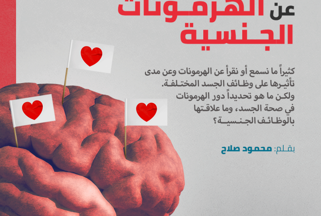كل ما تريد/ين معرفته عن الهرمونات الجنسية